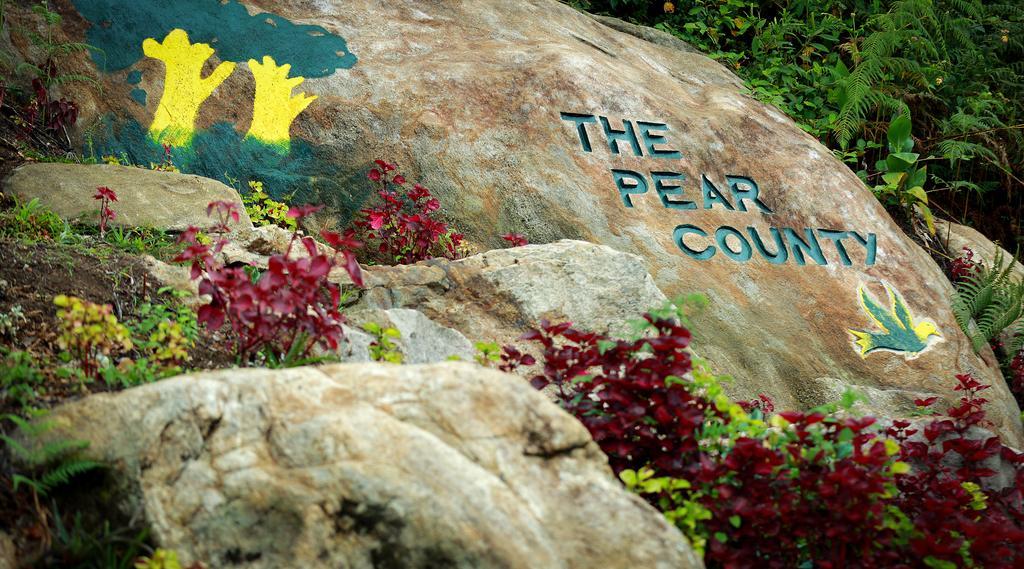Villa The Pear County Tamilnadu - Tamilnadu - Kodaikanal Exterior foto